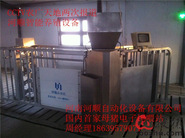 母猪电子饲喂站18639579071