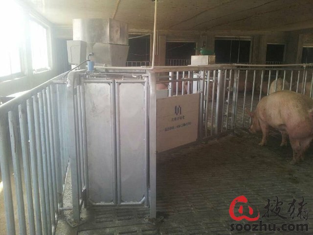 母猪电子饲喂站18639579071