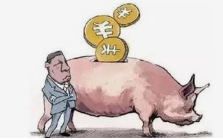 4月30日生猪日报：牛猪大量出栏 猪价再报低点 西北局部跌破9元