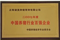 2007年中国养猪业百强企业