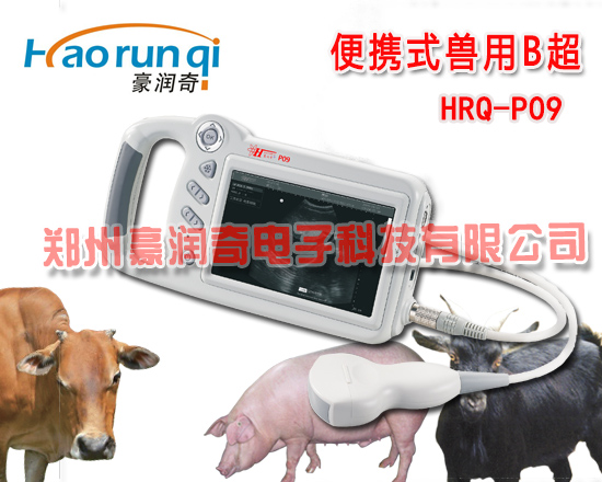 便携式猪用B超 HRQ-P09