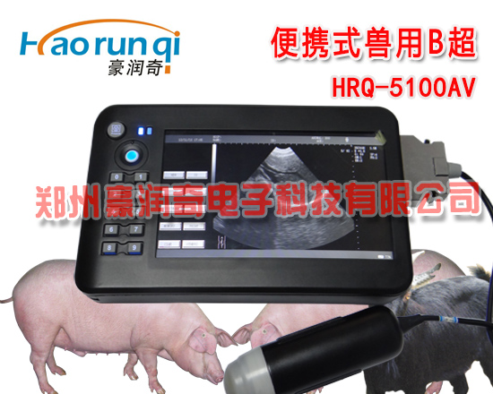 母猪怀孕检测B超仪HRQ-5100AV